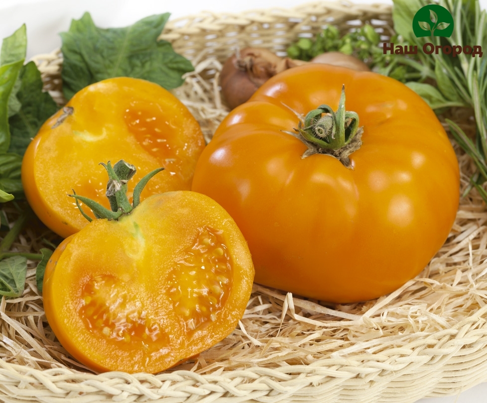 a tomato