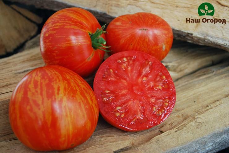 a tomato