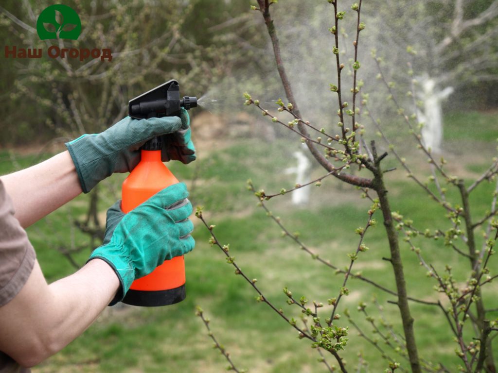 spring gardening