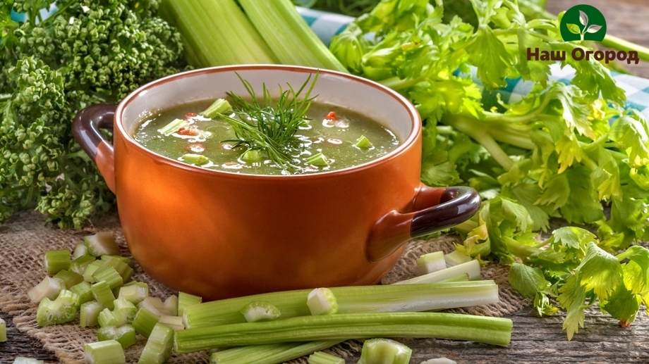 benefits of celery