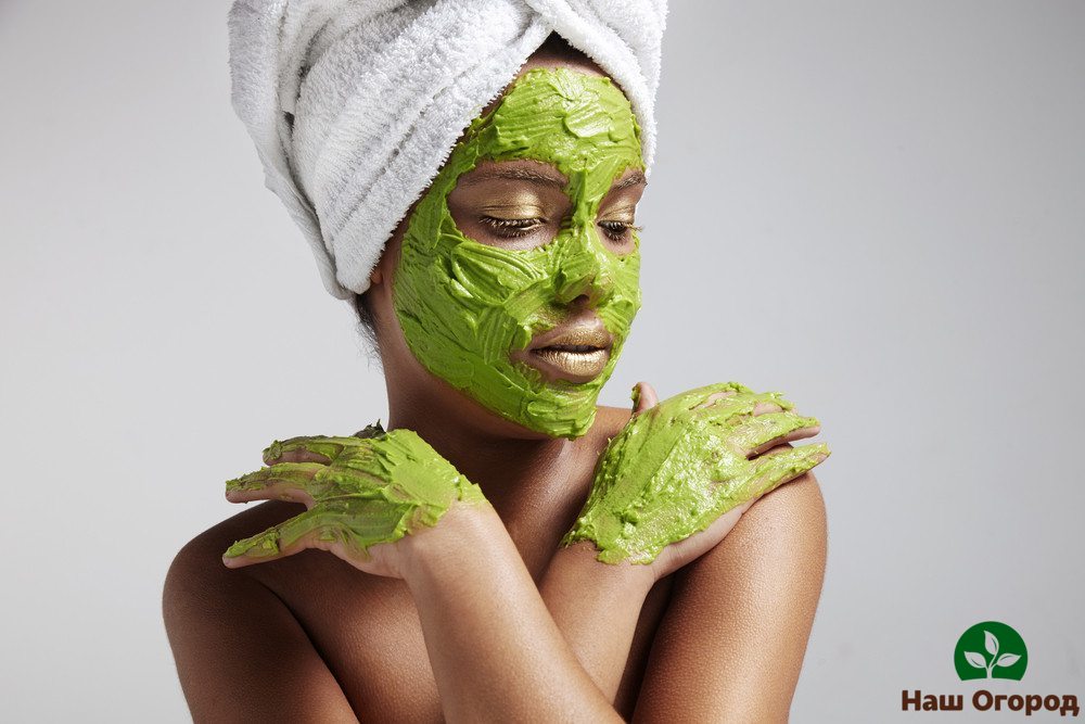 benefits of celery