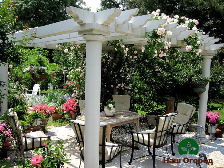 jardim em um estilo incomum