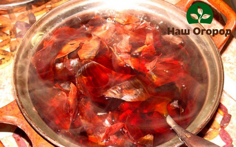 A decoction of onion peels is able to effectively and quickly rid the garden plot of aphids and mites.