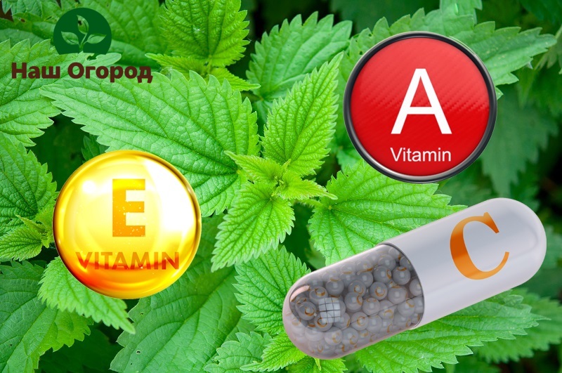 Nettle leaves contain many beneficial ingredients that help crops grow faster.