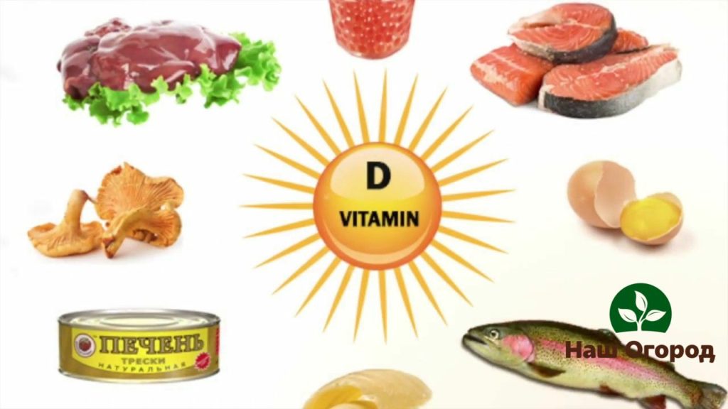 Alimentos que contêm vitamina D saudável