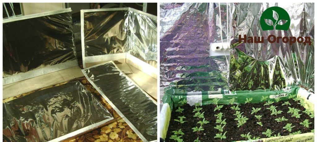 Reflective screen for seedlings