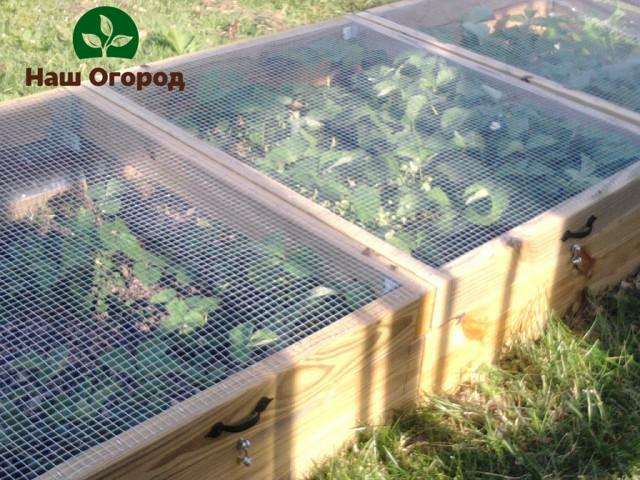 The garden bed net not only circulates the sun's rays, but also saves the grown crops from the attack of birds