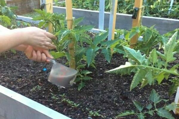 fertilisation de la terre