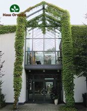 An interesting option for a built-in winter garden