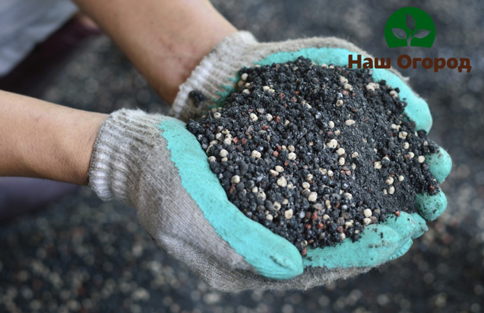 Phosphate fertilizers can provide crops with nutrients