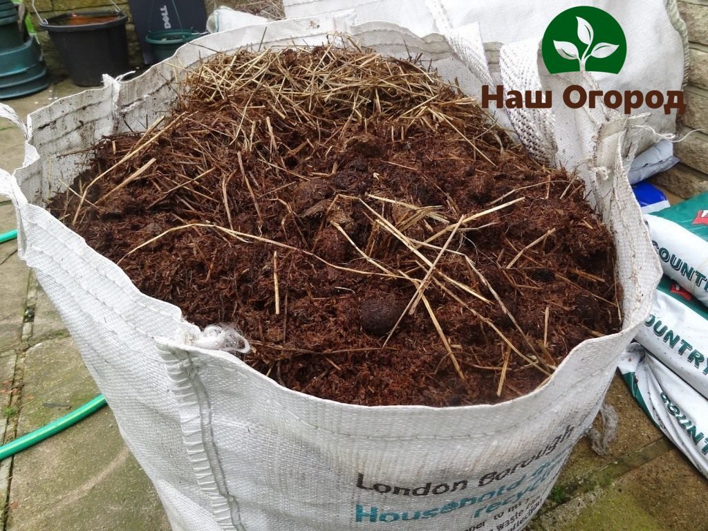 Horse manure tends to decompose quickly, therefore it is used by many gardeners