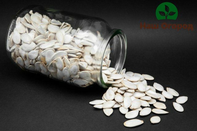 Zucchini seeds need additional processing before growing.