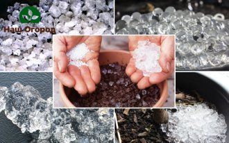 The ways of using hydrogel for the garden are different, but all of them, when used correctly, can benefit the garden plot.