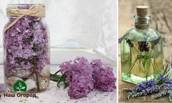 Flower preservation with glycerin