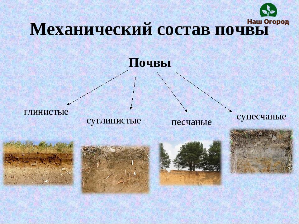 soil composition