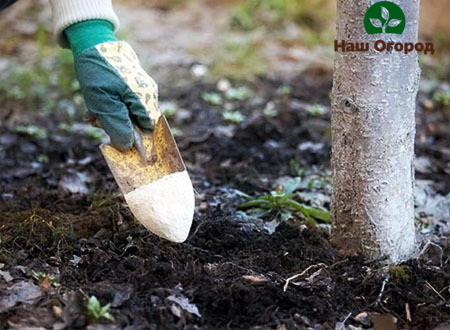 You can fertilize fruit trees with still unfrozen soil.