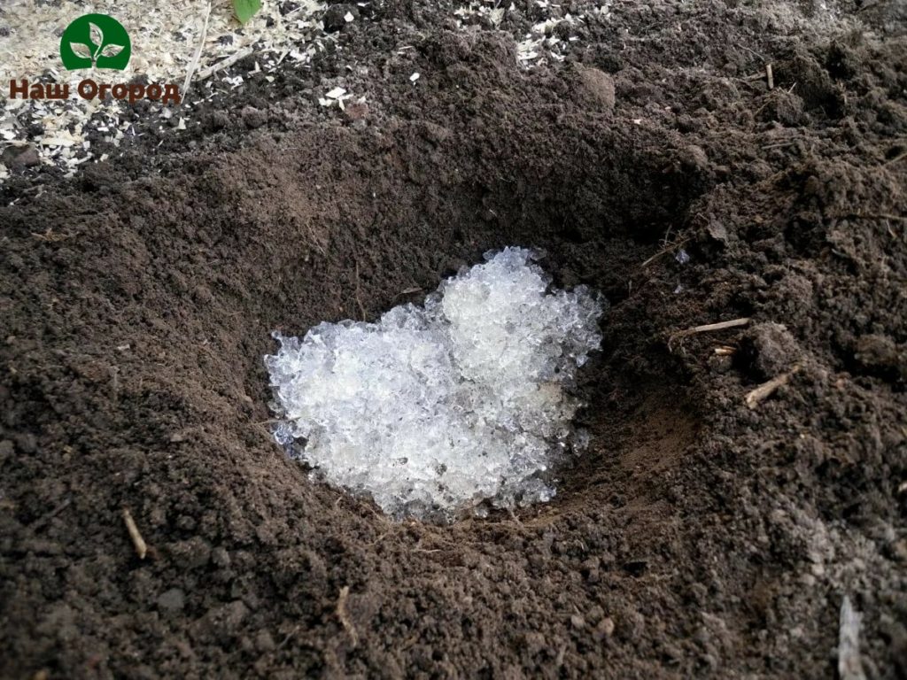 Dry hydrogel granules, poured into open ground for a higher percentage of the likelihood of crop emergence