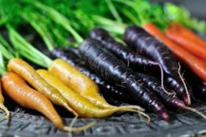 comment faire pousser des carottes en extérieur