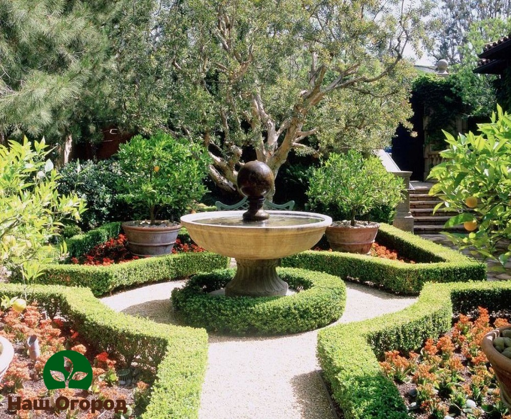 jardim em um estilo incomum