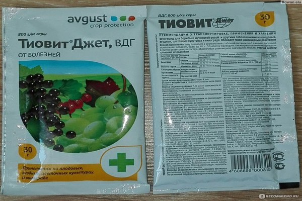 tiovit jet application