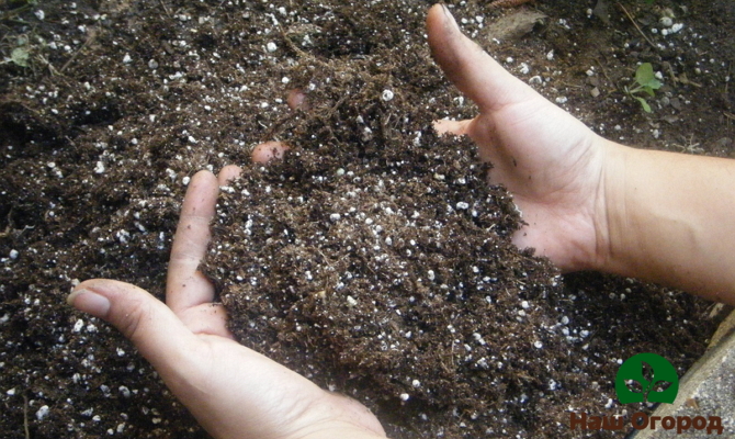 Sol fertilisé avec du nitrate
