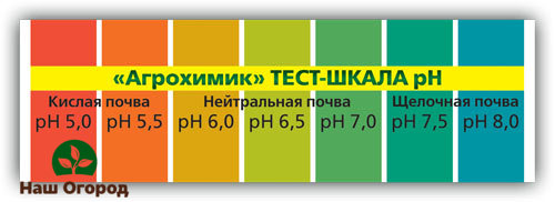 Test for determining the acidity of the soil tomatoes in the greenhouse