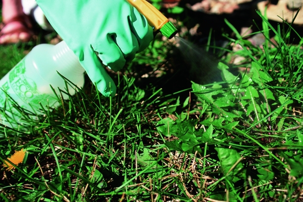agrokiller against weeds