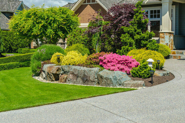 photos d'arbres et arbustes décoratifs