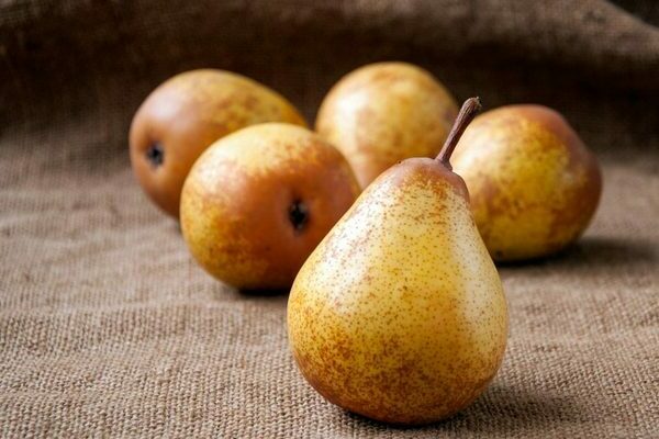pear thumbnail photo