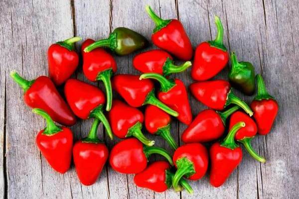 crescendo fogo de pimenta