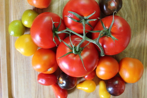 description des variétés de tomates