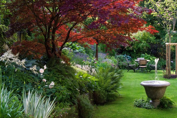 shady corner in the garden photo