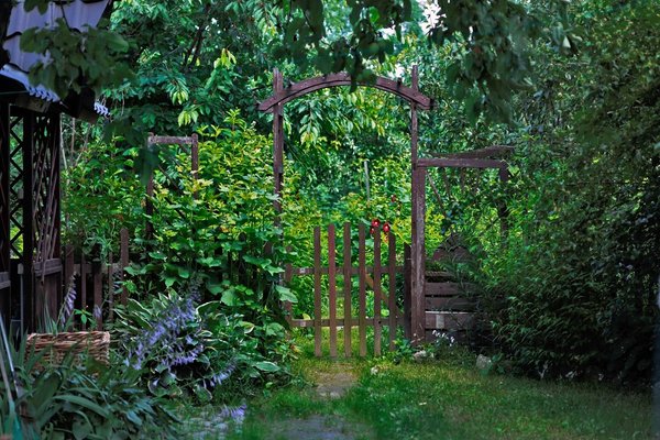 decoration of a shady corner of the garden photo