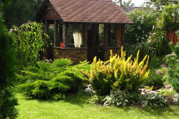 decoration of a shady corner of the garden photo
