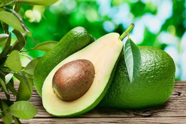 propriétés de l'avocat