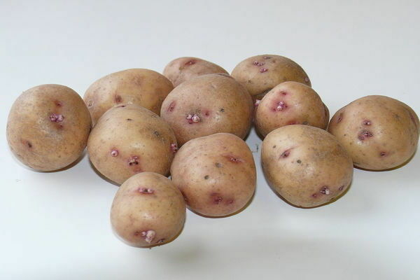 batatas da aurora