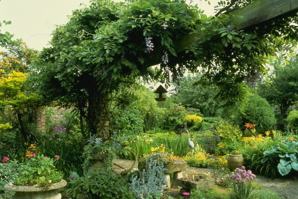 jardinage vertical à la campagne