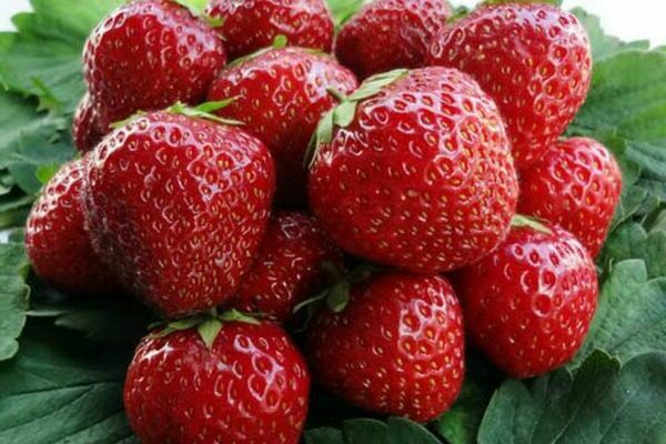 strawberry crown