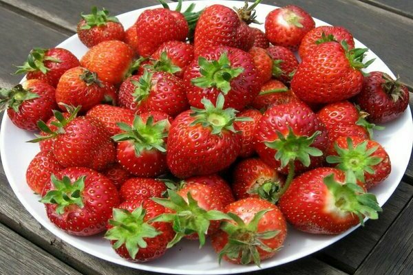 Fraise : variété Victoria