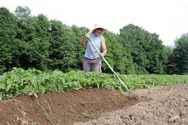 Pourquoi faire du hilling