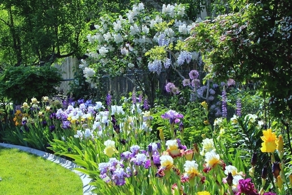 conception de parcelles de jardin