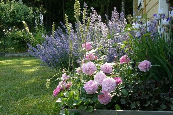 conception de jardin + faites-le vous-même