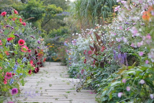 Conception de photos de jardin