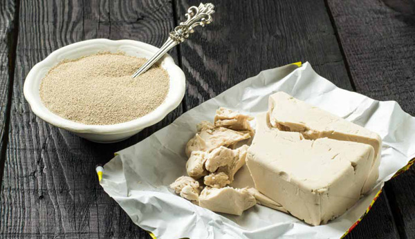 alimentation en levure