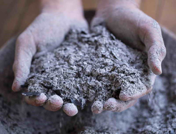 top dressing with ashes of tomatoes