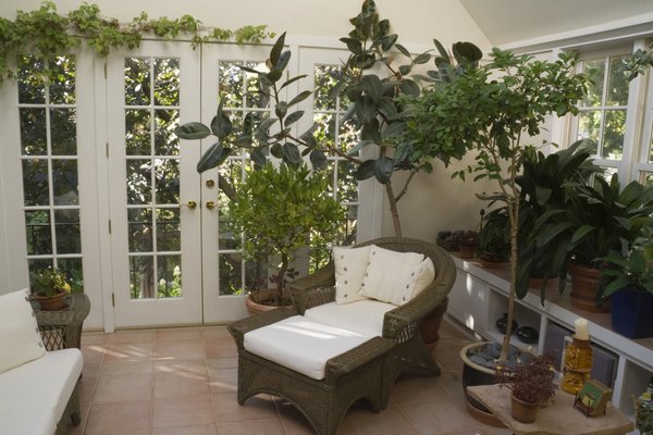 plants for bedroom