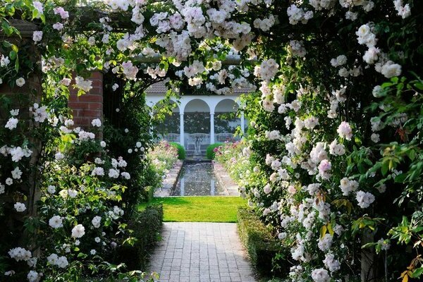 jardinage vertical en aménagement paysager