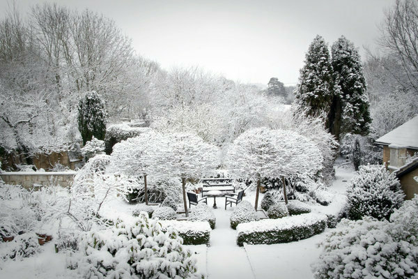 Winter vegetable garden