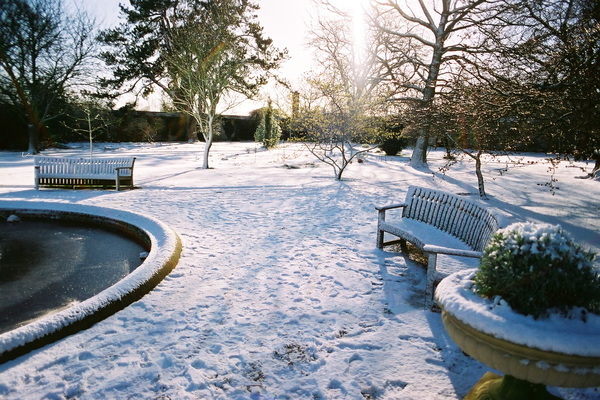 Garden in winter