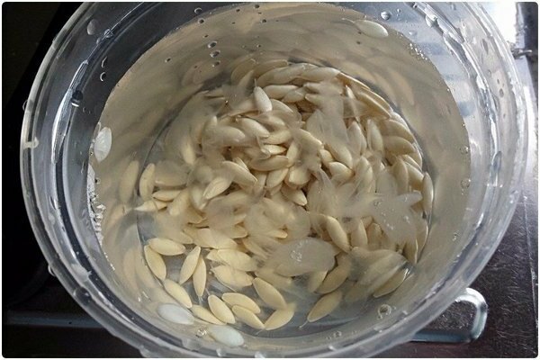 pick cucumber seeds